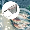 thumbnail image 4 of Filet de Libération de Capture de Poissons Rouge, 4 of 8