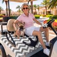 thumbnail image 3 of Golf Cart Seat Covers for 2 Seater, Grey Zigzag Soft Microfiber Cart Seat Towel Blanket, Coastal Nautical Anchor Stripes Absorbent Breathable Non Slip Bench Seats Protector for Golf Course 51"x31", 3 of 9