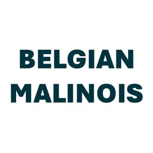Belgian Malinois Pill Butter