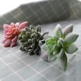 thumbnail image 4 of Artificial Succulent Plants, Realistic Faux Decor for Home, 4 of 8