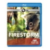 Nature: Survivors of the Firestorm [Blu-ray]