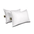 thumbnail image 1 of Fusion Antimicrobial Polyester 2 Pack Pillow Jumbo, 1 of 3