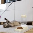 thumbnail image 3 of Riforla Personality Automatic Cat Feeder Dog Pet Feeder Automatic Feeders Beige, 3 of 9