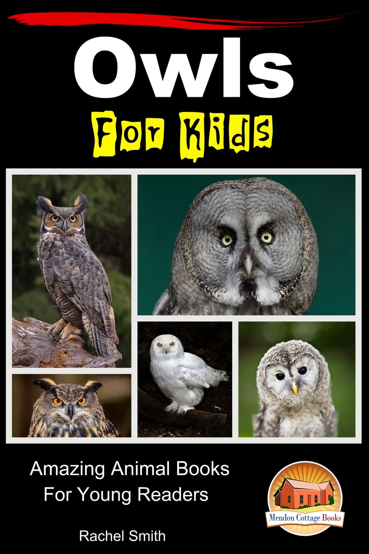 Owls For Kids: Amazing Animal Books For Young Readers - eBook
