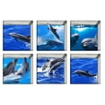 thumbnail image 2 of 6pcs 13x13cm Dolphin Pattern 3D Anti Slip Waterproof Bathtub Sticker, 2 of 2