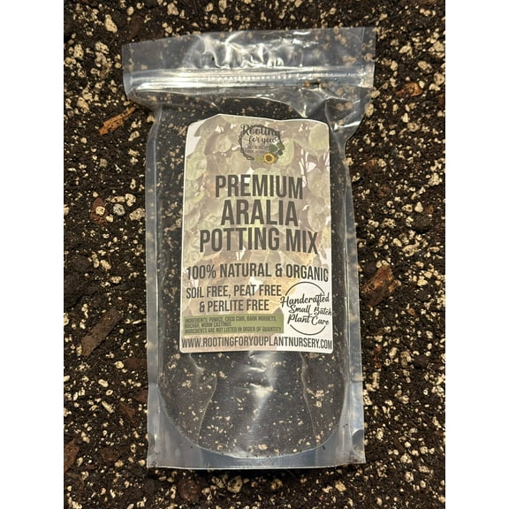 ARALIA - Aralia Fabian Stump - Ming Aralia - Fatsia Japonica Premium Potting Mix