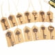 thumbnail image 4 of Abridor de botellas, regalos de boda, abridor de botellas con forma de llave esqueleto vintage, abridores de botellas con forma de llave con tarjetas de etiqueta de acompañante y llaveros, regalos de, 4 of 5