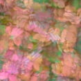 thumbnail image 2 of Jaynes Gallery 26x26 Black Ornate Wood Framed with Double Matting Museum Art Print Titled - Pink-orange and green floral montage abstract, 2 of 4