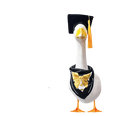 thumbnail image 2 of Luoshdecor Graduation Porch Goose Outfit，Goose Clothes Graduation Goose Statue Decor for Garden Party Decoration, 2 of 9