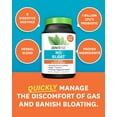 thumbnail image 5 of Zenwise Health NO BLØAT - Probiotics for Digestive Health with Ginger, Dandelion, and Cinnamon, Digestive Enzymes for Gas and Bloating Relief for Women and Men - Water Retention Pills - 100 Count, 5 of 6