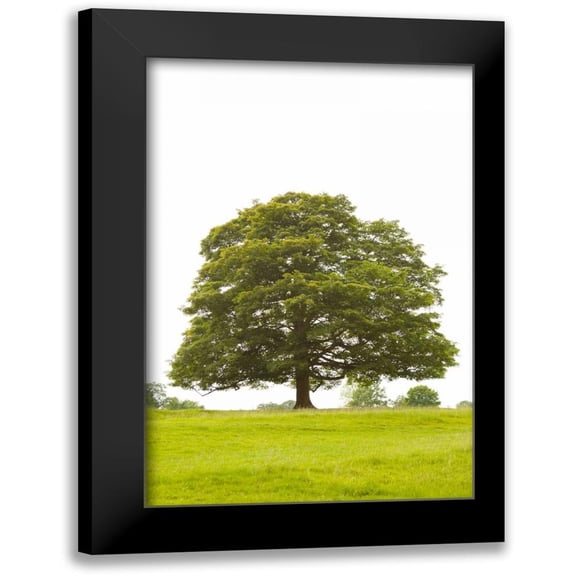 Millet, Karyn 11x14 Black Modern Framed Museum Art Print Titled - Tree I