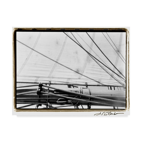 Trademark Fine Art 'Under Sail IV' Canvas Art by Laura DeNardo