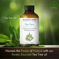 thumbnail image 4 of Majestic Pure Tea Tree Essential Oil, Premium Grade, Pure and Natural Oil, 4 fl oz, 4 of 10