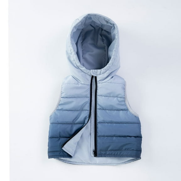 Kids Puffer Vest Toddler Winter Vest Cute Hoodie Vest Sleeveless Windproof Down Jacket Winter Vest for Kids 8-10 Years