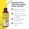 thumbnail image 4 of Bach RESCUE Remedy Dropper, 20 mL, 4 of 10