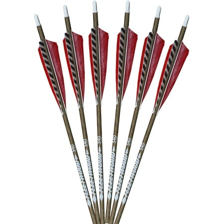 Natural Carbon Arrows