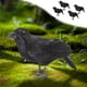 thumbnail image 1 of 4pc Realistic Crow Feathered Crow For Halloween Decorations Birds, 1 of 6