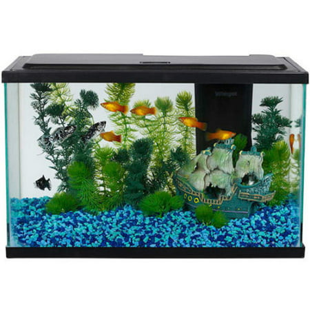 Aqua Culture 5-Gallon Fish Tank LED Aquarium Starter (Best Fish For Bowl Aquarium)