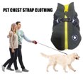 thumbnail image 3 of Wdftyju Invierno mascota perro cálido chaleco arnés cremallera perro pecho espalda algodón abrigo para regalo de Navidad Wdftyju 4pb7uz6ft0ya7hj1D13, 3 of 8
