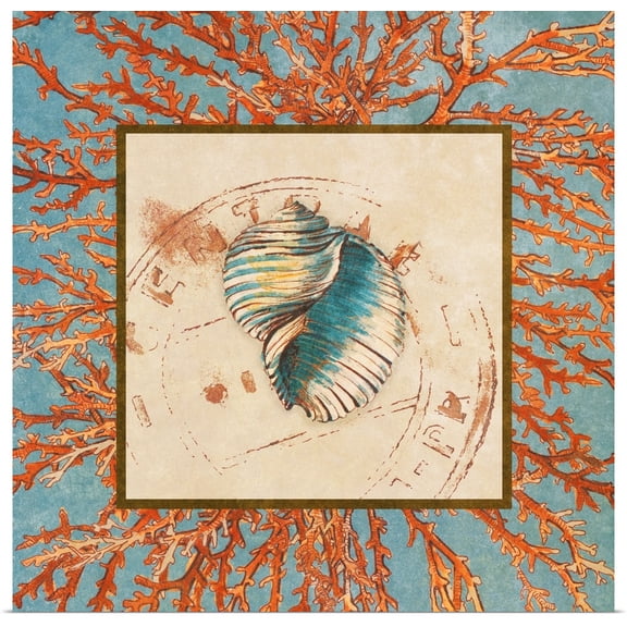 Great BIG Canvas | "Coral Medley Shell I" Art Print - 16x16