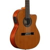 Alvarez AC65HCE Acoustic-Electric Guitar