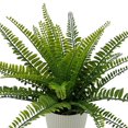 thumbnail image 4 of Mainstays 11.5in Indoor Artificial Plant in Pot, Green Color Fern, 4 of 5