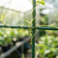 thumbnail image 6 of Indoor Trellis for Climbing Plants, Durables Plastic Support for Potted Plants, Plants Trellis for Potted Plants, Vines Plants Support for Garden, 6 of 7