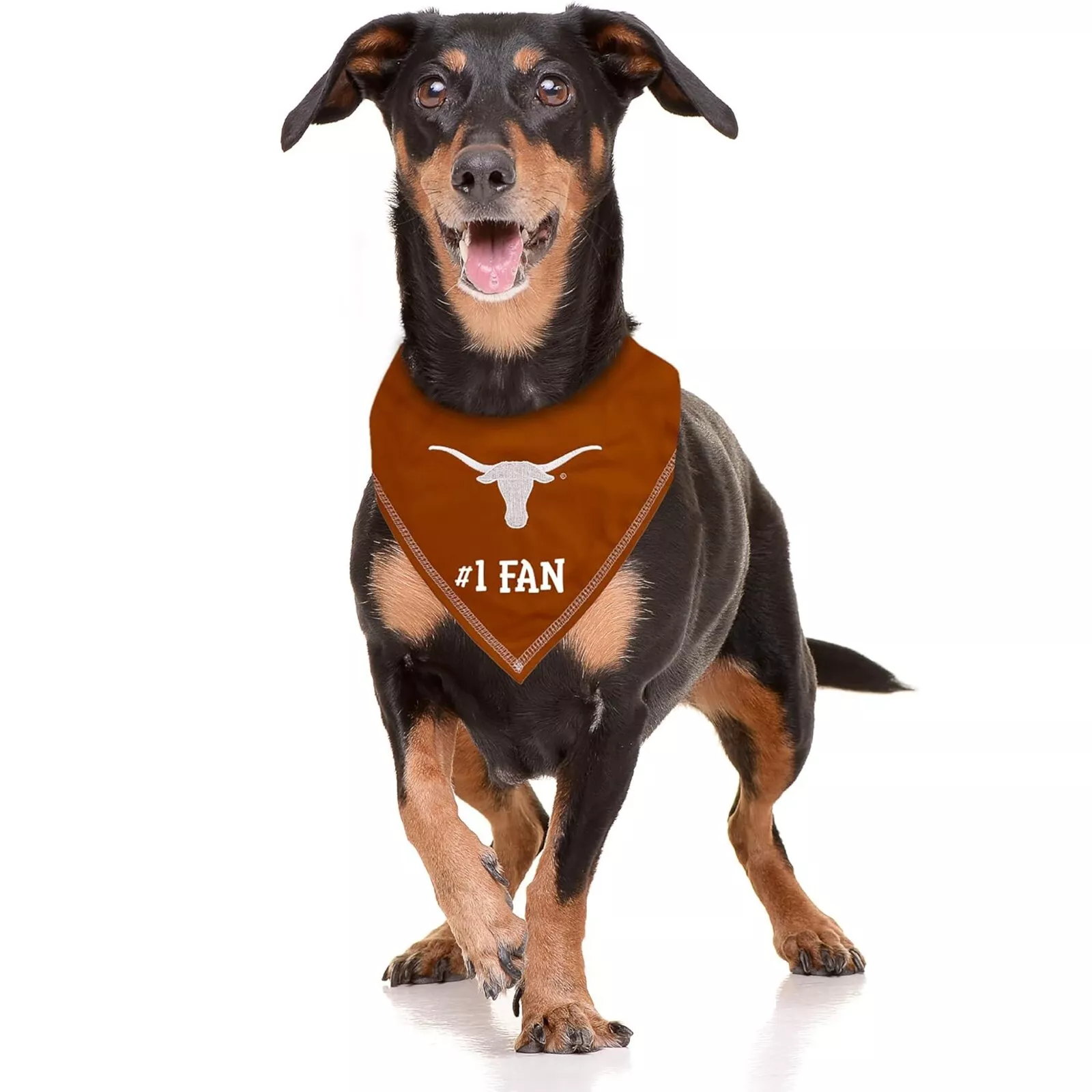 Pets First NCAA Personalized Tie Bandana for Dogs & Cats Sporty Dog Bandana