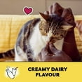 thumbnail image 4 of Temptations Creamy Dairy Flavour Soft & Crunchy Adult Cat Treats, 180g, 4 of 4