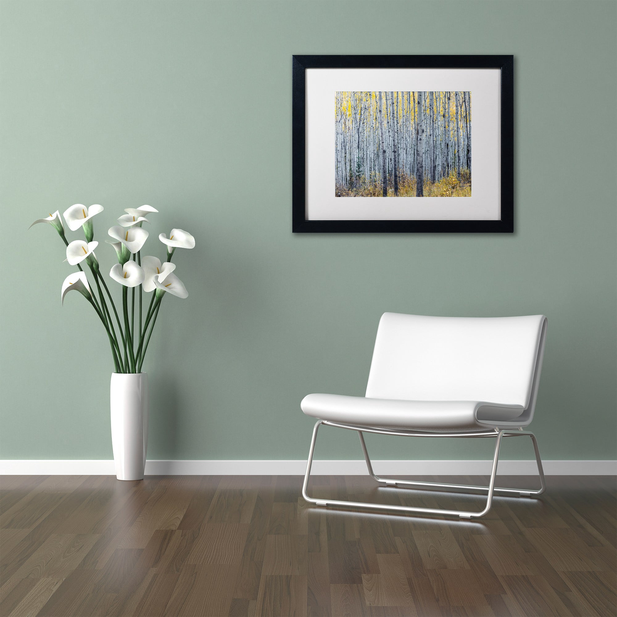 Trademark Fine Art 'Forest of Aspen Trees' Canvas Art by Pierre Leclerc, White Matte, Black Frame