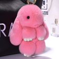 thumbnail image 1 of 20 Color Fluffy Rabbit Fur Pompon Bunny Keychain Trinket Women Toy Pompom Rabbit Key Ring On Bag Key Chain Jewelry Gift, 1 of 5
