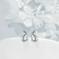 thumbnail image 5 of MOMOJIA Fashionable Capybara Earring Accessory Cute Ear Rings Studs Jewelry for Women, 5 of 8