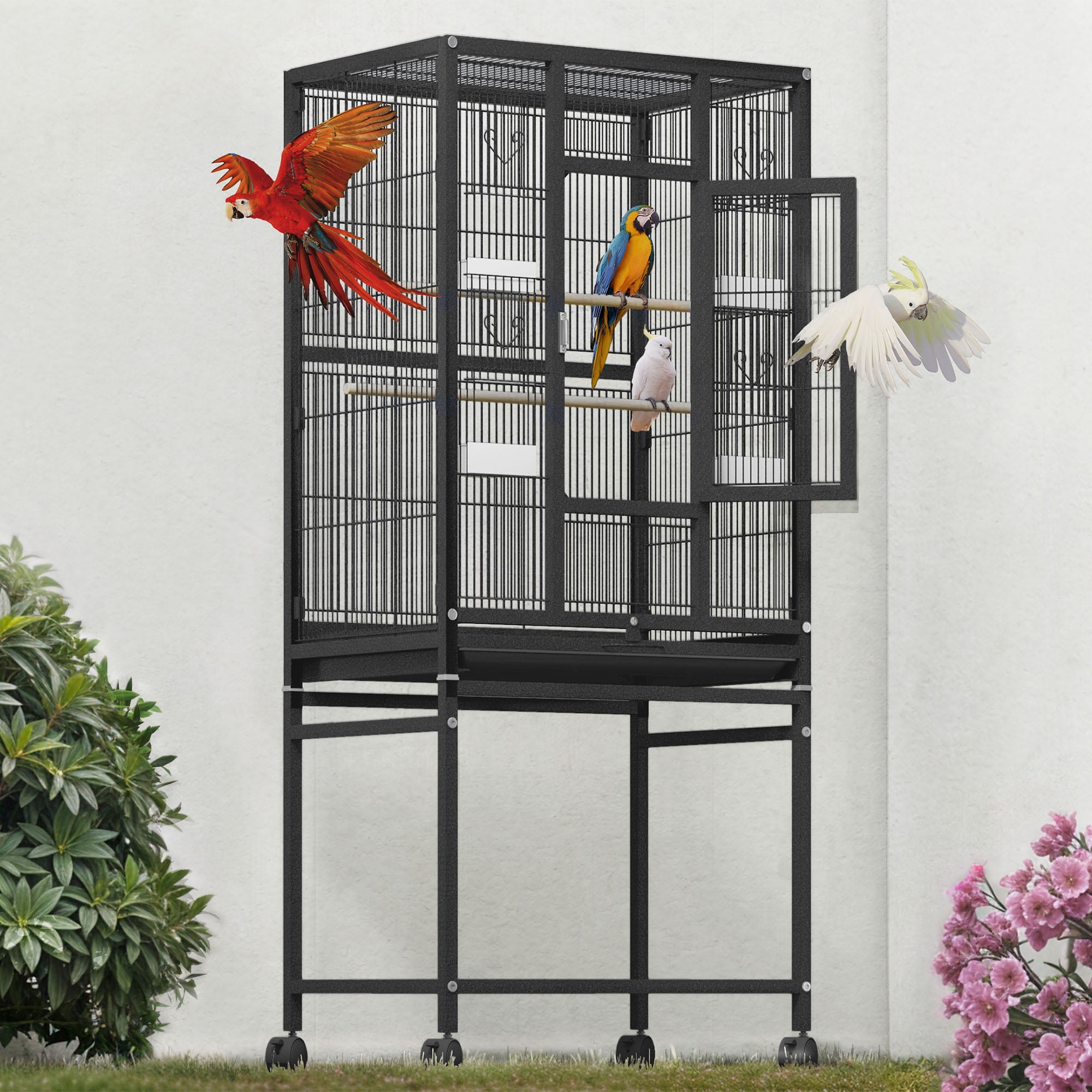 Lot of 6 Aviary Breeding Bird Finch Parakeet ... - Ubuy Nigeria