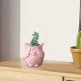 thumbnail image 1 of Maceta con forma de búho, cerámica, regalos de cumpleaños, maceta de búho, maceta para bonsái para el hogar, balcón, Patio, decoración interior , Sin Sin mirada Rosa, 1 of 8