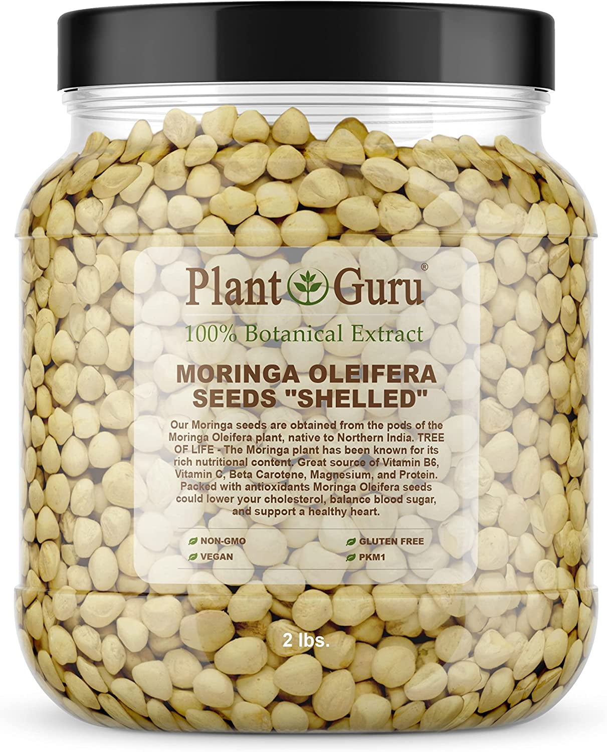 Moringa Seeds Kernel Shelled 2 lbs. Wide Mouth Jar Clean PKM1 Variety