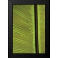 thumbnail image 2 of Berzel, Erin 11x14 Black Modern Framed Museum Art Print Titled - Leaf Detail IV, 2 of 5