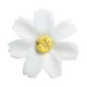 thumbnail image 5 of 50 piezas de seda Daisy flores cabezas boda fiesta Navidad decoración del hogar adornos beige Sunnimix Cabeza de flor, 5 of 8