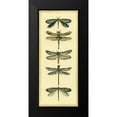 thumbnail image 2 of Zarris, Chariklia 8x14 Black Modern Framed Museum Art Print Titled - Small Dragonfly Collector I, 2 of 5