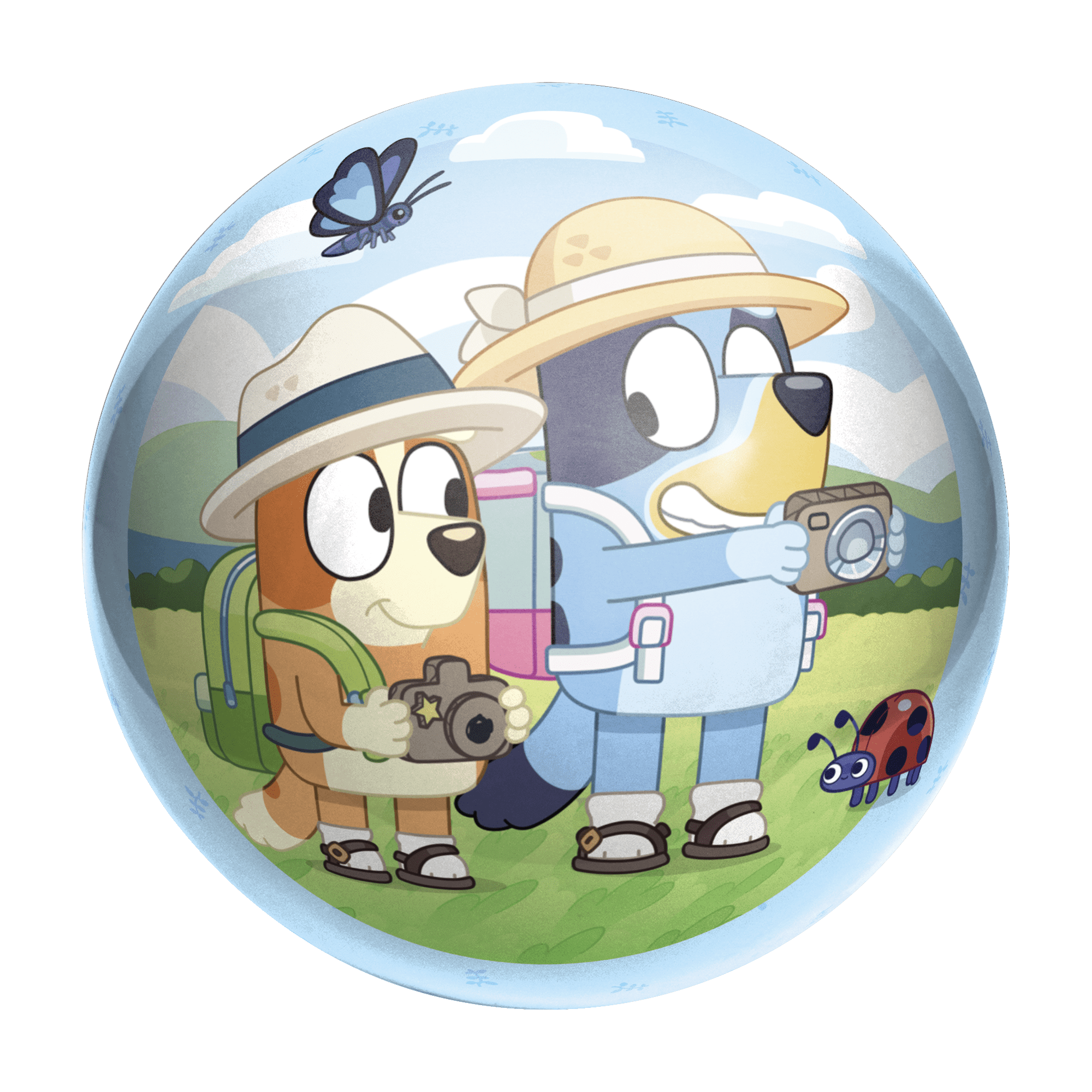 Hedstrom Licensed Playball, 10 inch Toy Ball (Licenses May Vary), Ages 3 and up