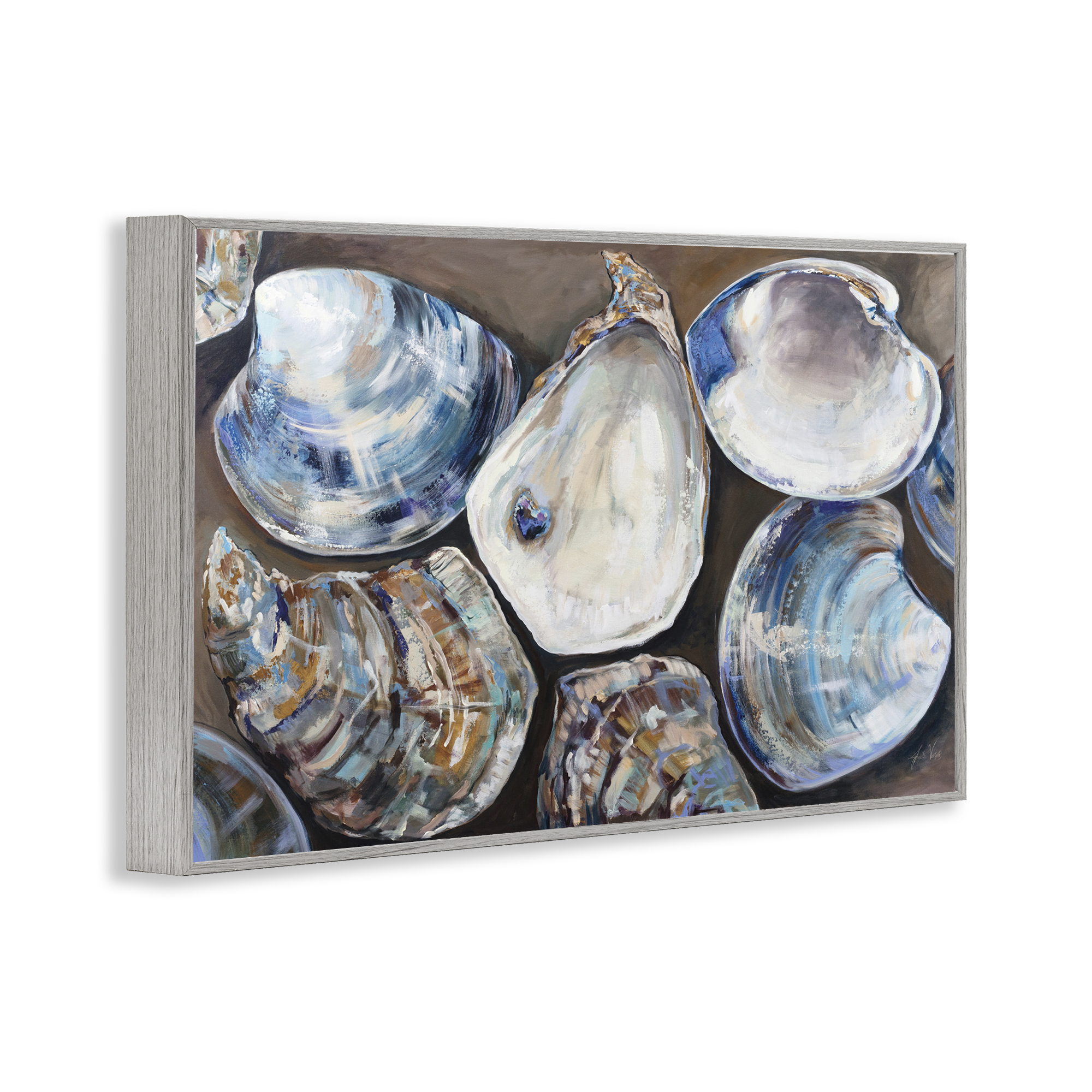 Stupell Industries Varied Seashell Shucks Animals & Insects Painting Gray Framed Art Print Wall Art, 30 x 20