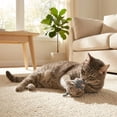 thumbnail image 5 of Jouet Catit pour chats, souris, paquet de 2, 5 of 5