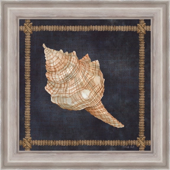 Great Art Now Seashell on Navy IV by Cindy Jacobs, Framed Wall Art, 20W x 20H