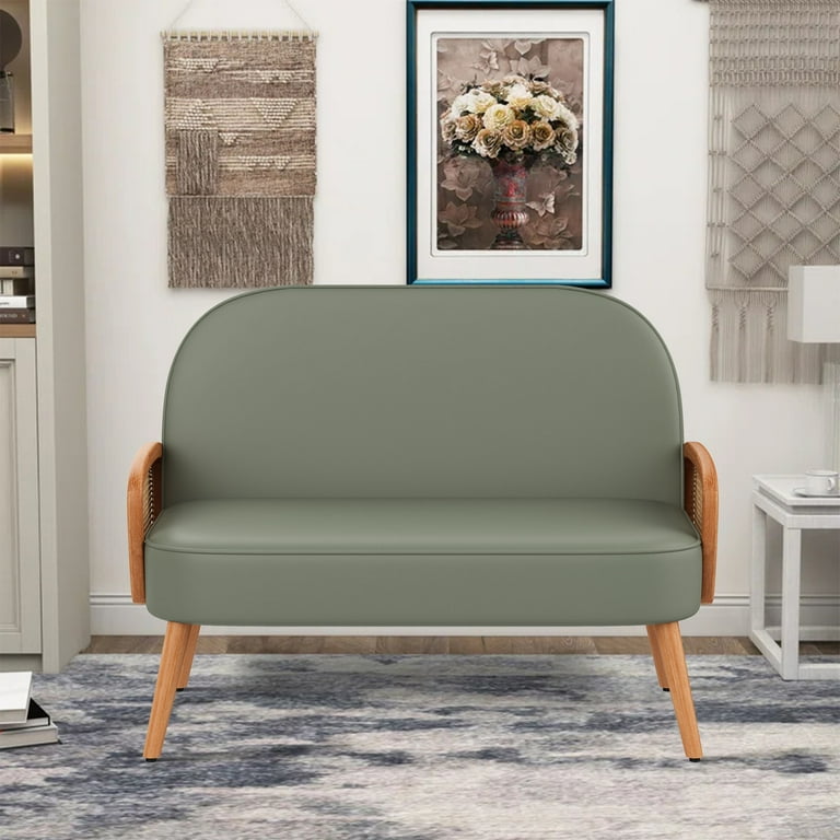 Apeaka Modern Stylish Faux Leather Upholstered Loveseat Apeaka Modern Stylish Faux Leather Upholstered Loveseat