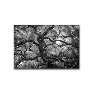 Motivations by CATeyes-22x32 Canvas Art Ready to Hang