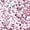 Pink, variant on Xiaoxatg Girls' Flats, Girls Cute Flats School Uniform Shoes Comfort Sneakers (Toddler/Little Kid/Big Kid) White 8-9 Years