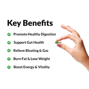 ProbioSlim Probiotic and Weight Loss Supplement for Women and Men with Probiotics, Burn Fat, Lose Weight, Reduce Gas, Bloating, Constipation, and Support Digestive Health, Force Factor, 60 Capsules