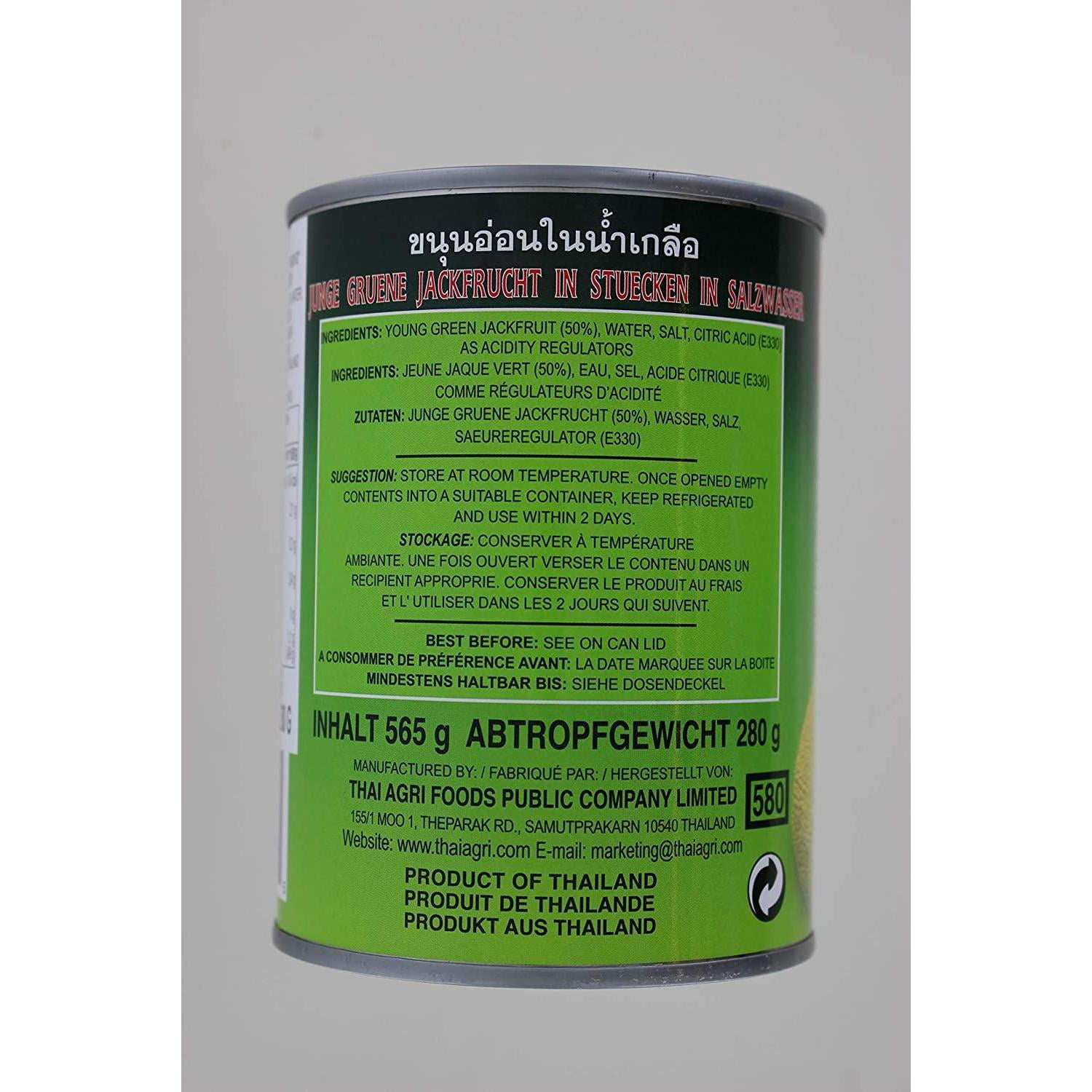 NineChef Bundle - Aroy-D Aroyd Young Green Jackfruit in Brine 20 Ounce (24 Pack) + 1 NineChef Brand ChopStick
