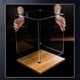 thumbnail image 4 of Caja de exhibición de acrílico transparente personalizada, caja de ensamblaje de base de madera, cubo de encimera, caja de exhibición a prueba de polvo para manualidades de juguetes de acción, 4 of 5