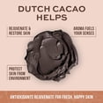 thumbnail image 2 of Mascarilla facial Freeman Exotic Blends Dutch Cacao Cream 175 ml, 2 of 9