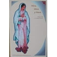 thumbnail image 1 of Pre-Owned Misa, mesa y musa: Liturgy in the U.S. hispanic church, Used [Paperback], 1 of 1